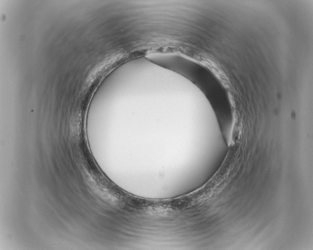 X0000087680586200705251646