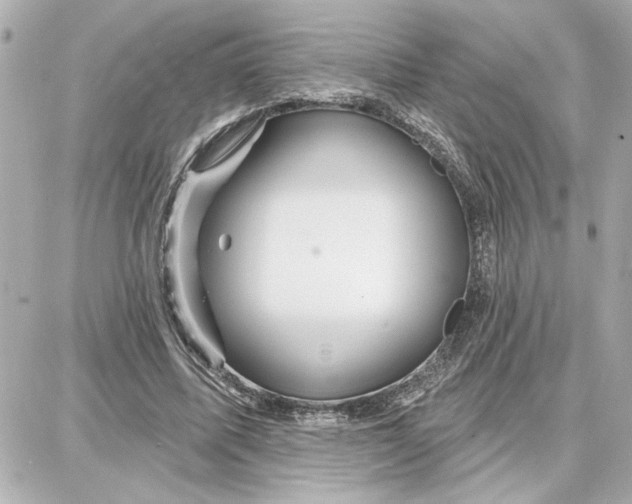 X0000087680587200705251646