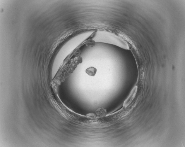 X0000087680589200705251646