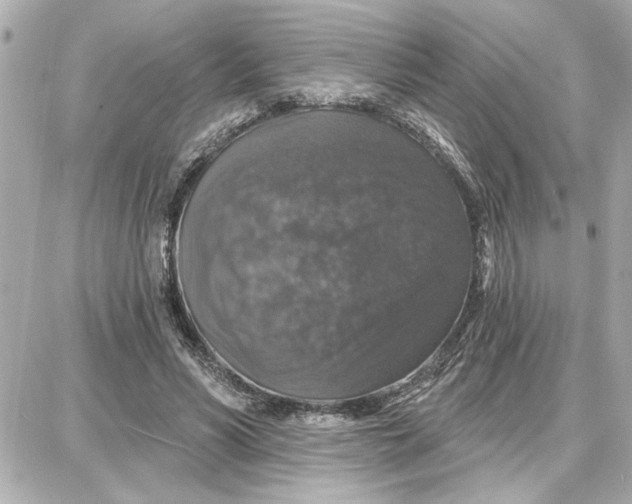 X0000087680590200705251646