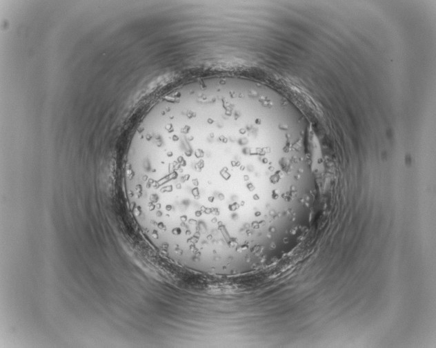 X0000087680591200705251646