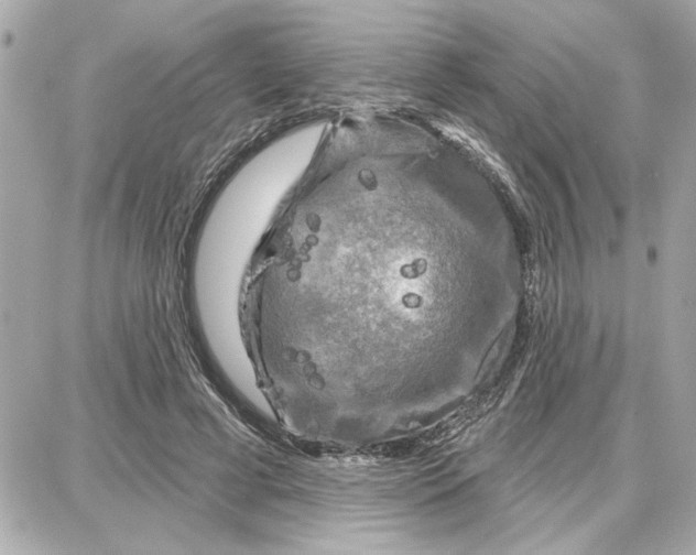 X0000087680593200705251646