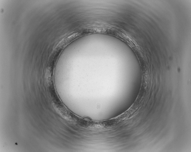 X0000087680594200705251646