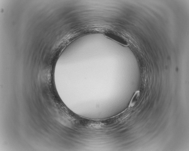 X0000087680595200705251646