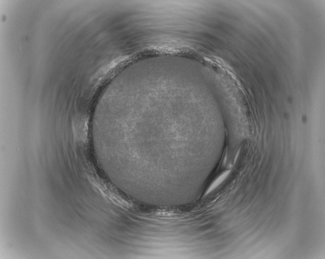 X0000087680596200705251646