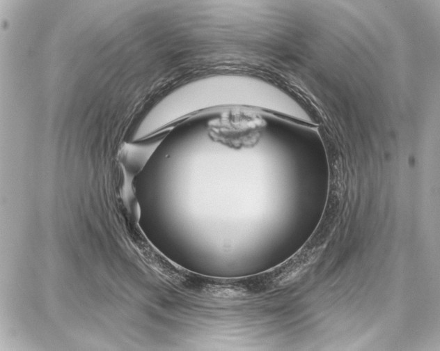 X0000087680597200705251646