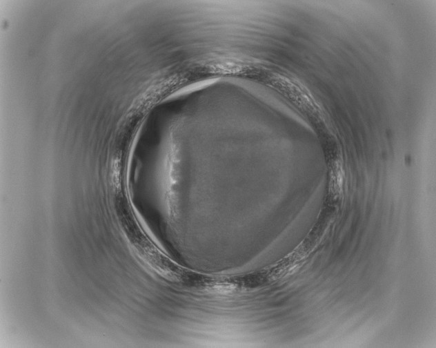 X0000087680598200705251646