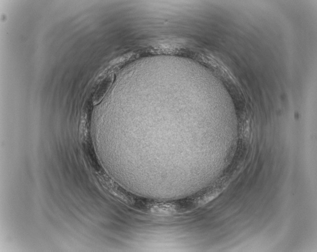 X0000087680599200705251646