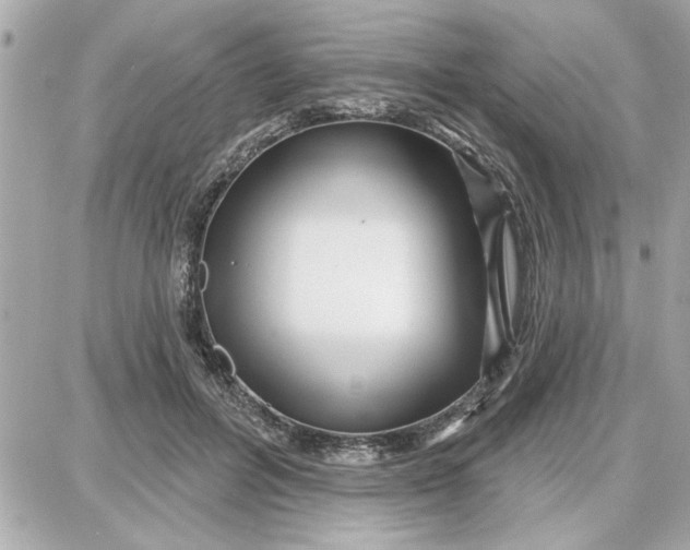 X0000087680600200705251646