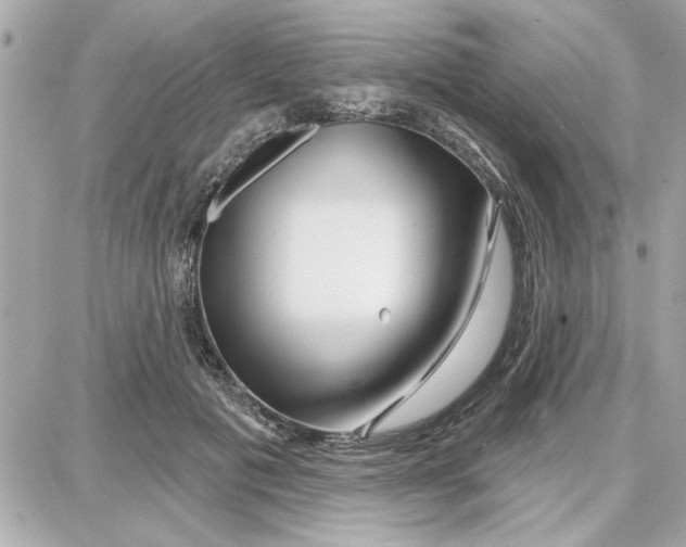 X0000087680601200705251645