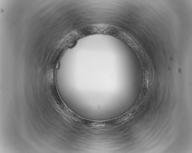 X0000087680602200705251645