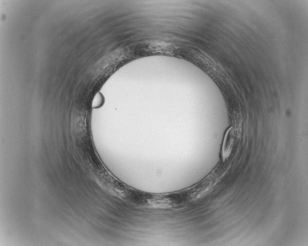 X0000087680603200705251645