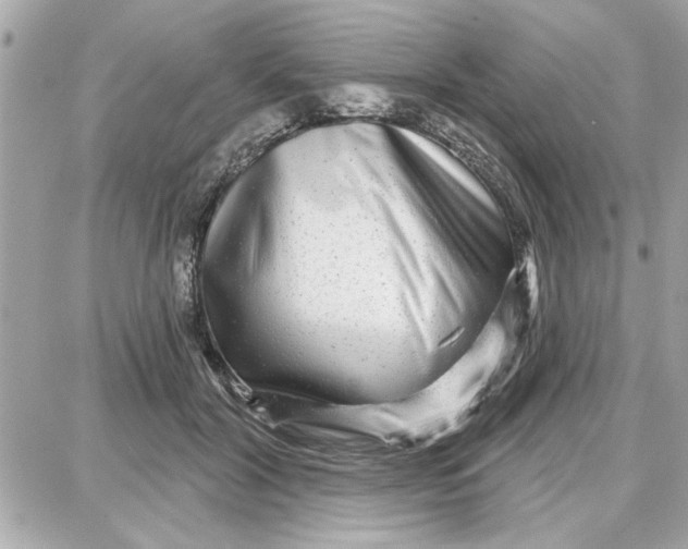 X0000087680604200705251645