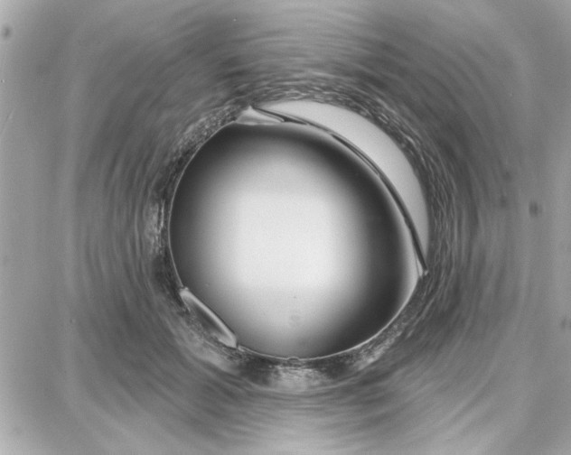 X0000087680605200705251645