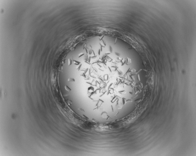 X0000087680607200705251645