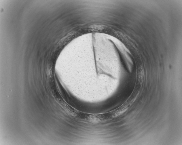 X0000087680608200705251645