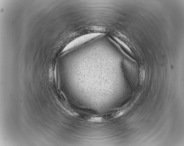 X0000087680609200705251645