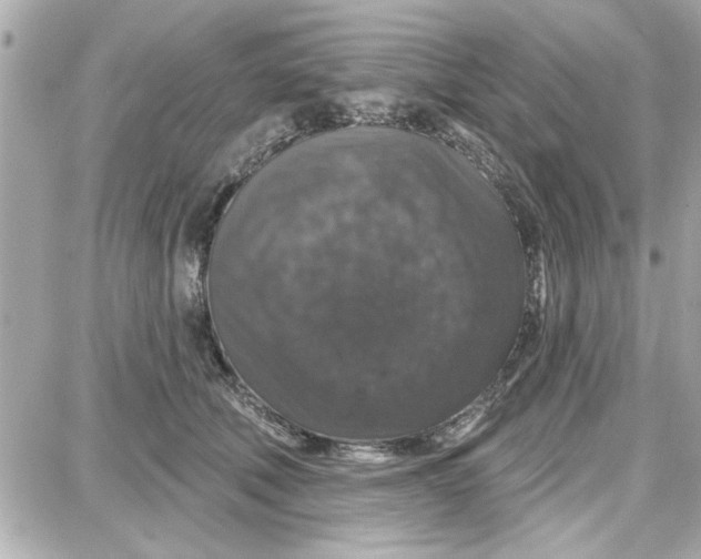 X0000087680610200705251645