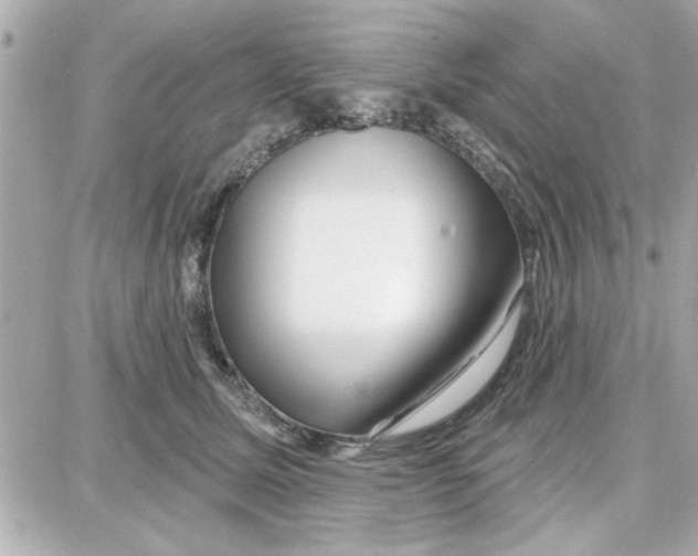 X0000087680611200705251645