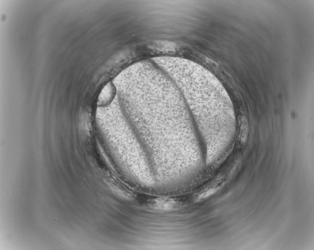 X0000087680612200705251645