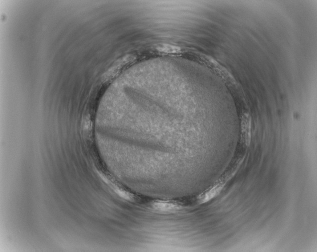 X0000087680614200705251645