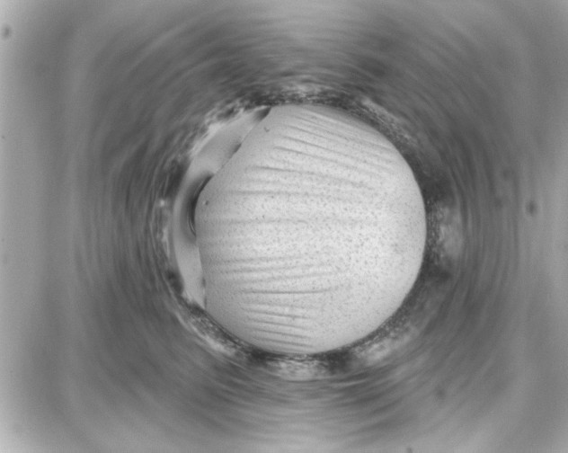 X0000087680615200705251645