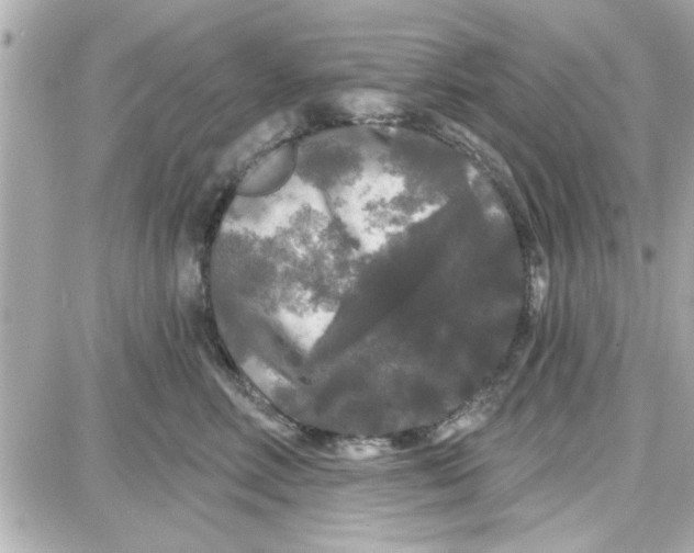 X0000087680618200705251645