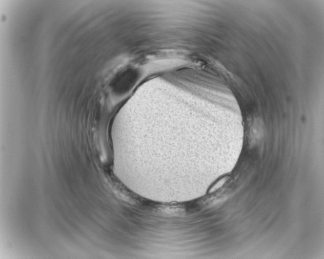 X0000087680619200705251645