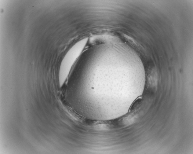 X0000087680620200705251645