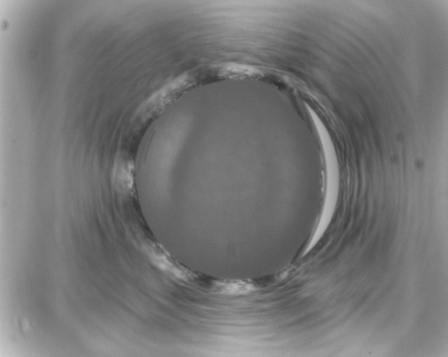 X0000087680621200705251645