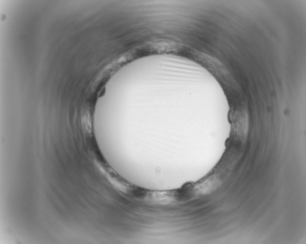 X0000087680622200705251645