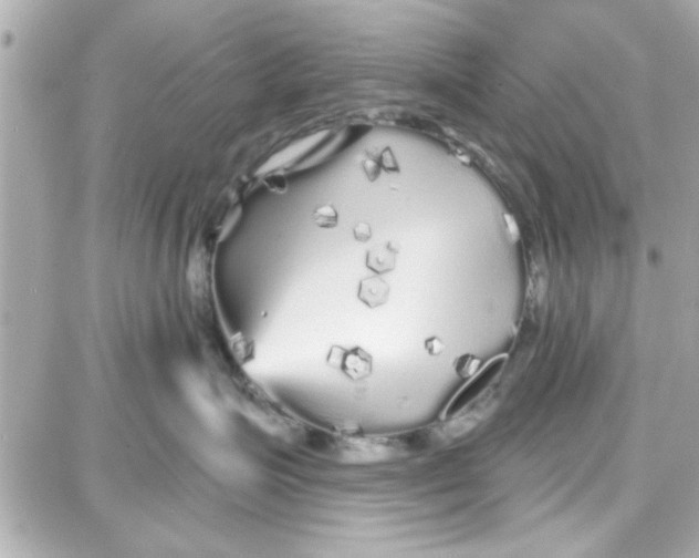 X0000087680623200705251645