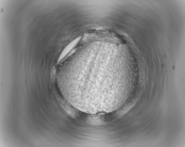 X0000087680624200705251645