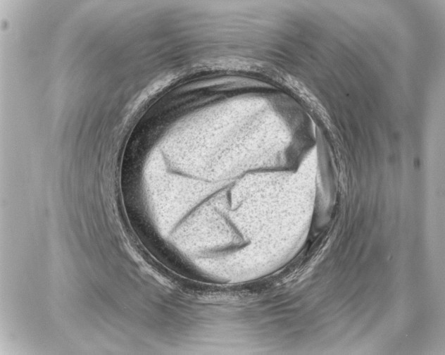 X0000087680625200705251644