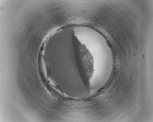 X0000087680626200705251644