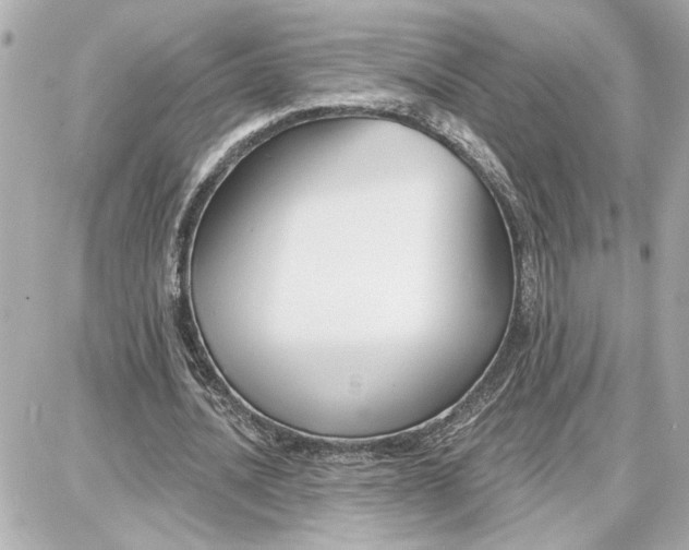 X0000087680628200705251644