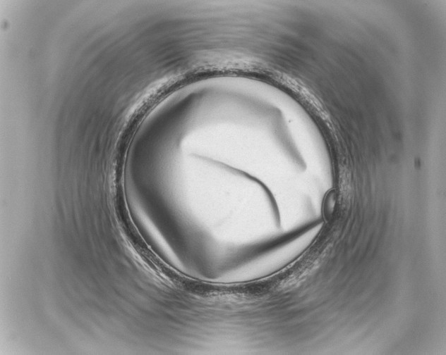 X0000087680629200705251644