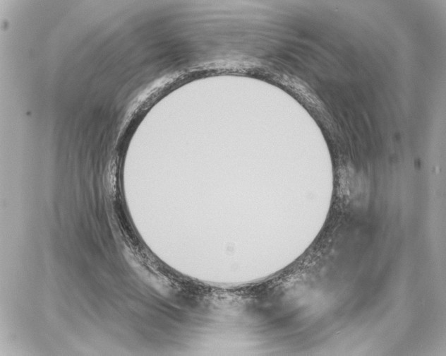 X0000087680632200705251644