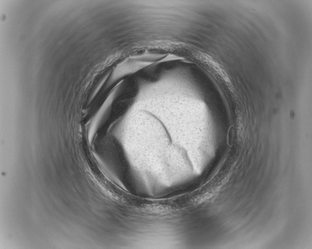 X0000087680633200705251644