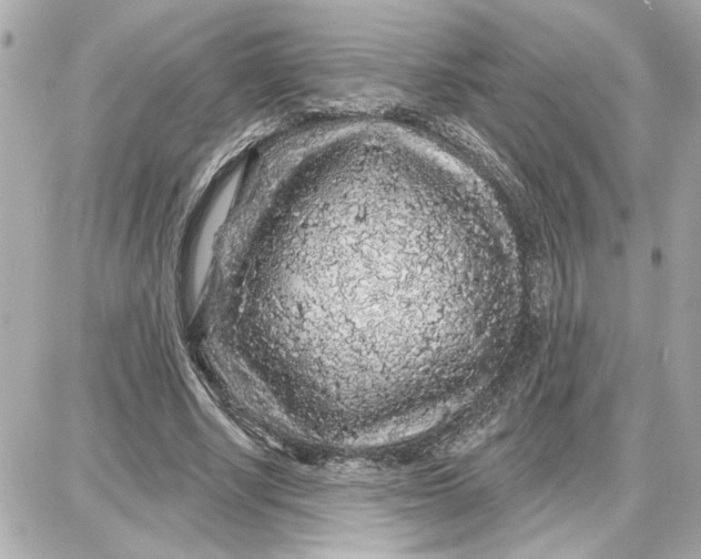 X0000087680634200705251644