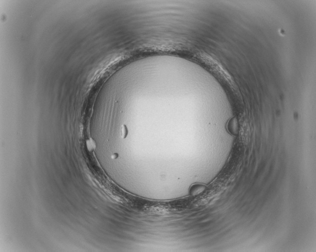 X0000087680635200705251645