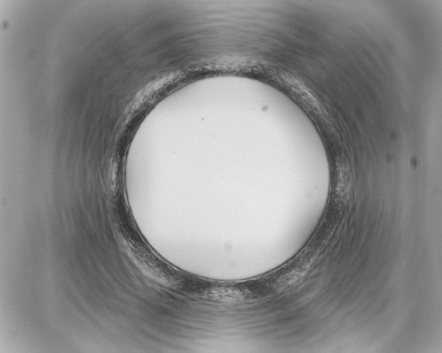 X0000087680636200705251645