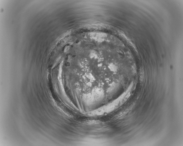 X0000087680637200705251645