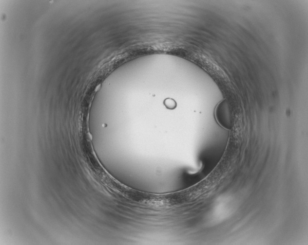 X0000087680639200705251645