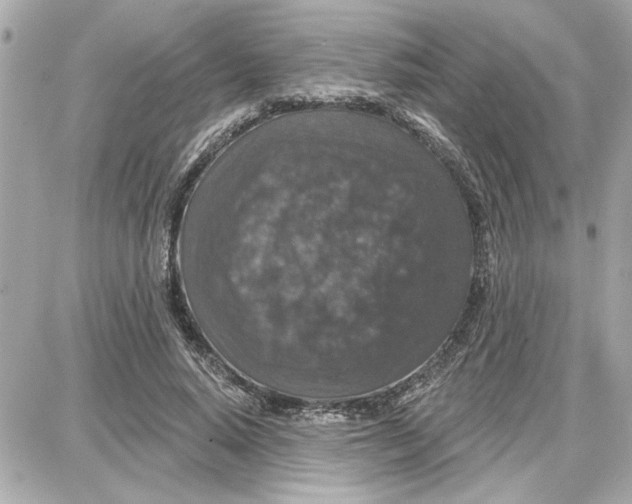 X0000087680640200705251645