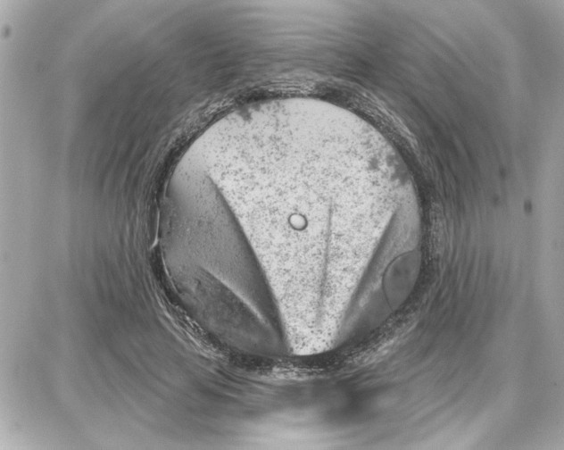 X0000087680641200705251645