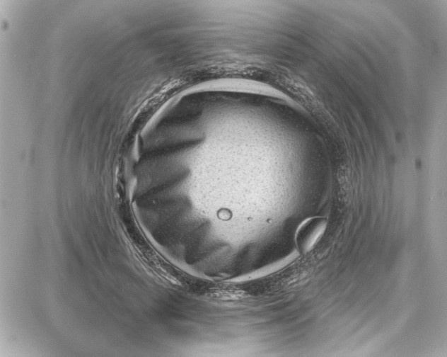 X0000087680642200705251645