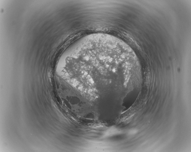 X0000087680643200705251645