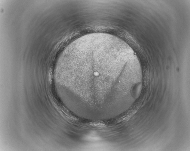 X0000087680644200705251645