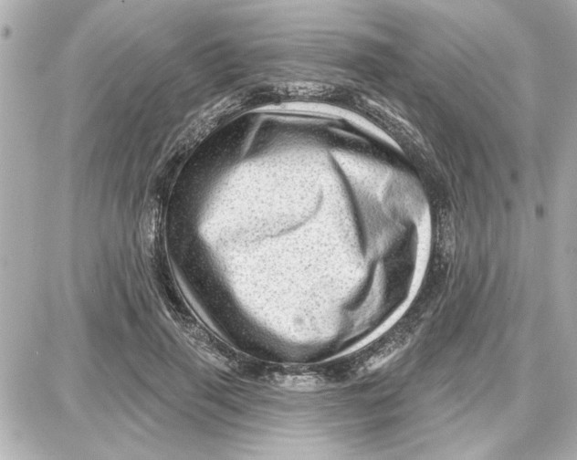 X0000087680645200705251645